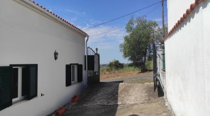 Casa de Campo T3 em Santa Catarina de 200 m²