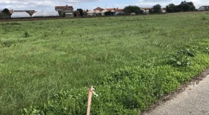 Land in Bustos, Troviscal e Mamarrosa of 11,700 m²