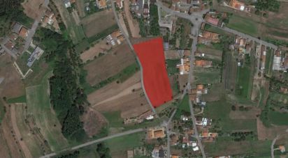 Terreno em Bustos, Troviscal e Mamarrosa de 11 700 m²