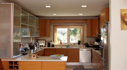 Maison traditionnelle T4 à Lamas de 578 m²