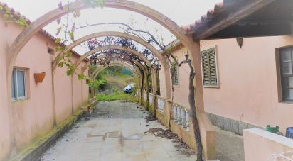 Ferme T3 à Agualva E Mira-Sintra de 337 m²