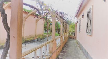 Ferme T3 à Agualva E Mira-Sintra de 337 m²