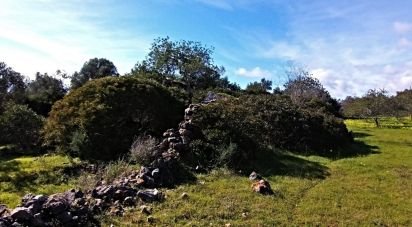 Land in Moncarapacho e Fuseta of 3,080 m²