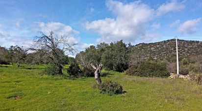 Land in Moncarapacho e Fuseta of 3,080 m²