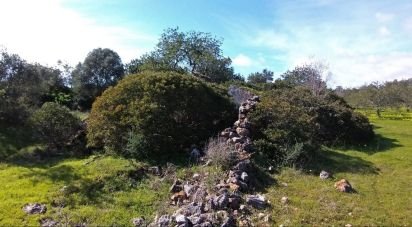 Land in Moncarapacho e Fuseta of 3,080 m²