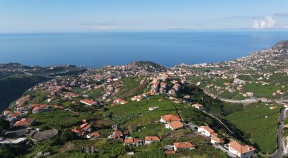 Terrain à Estreito de Câmara de Lobos de 1 325 m²