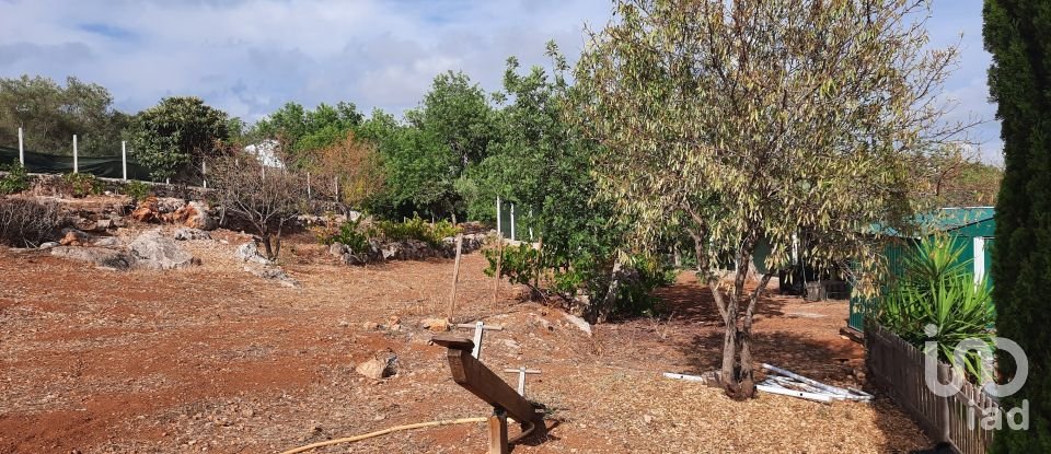 Casa de Campo T2 em Loulé (São Clemente) de 105 m²