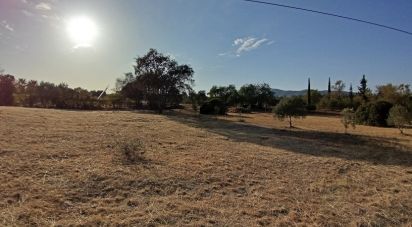 Terrain agricole à Moncarapacho e Fuseta de 1 080 m²