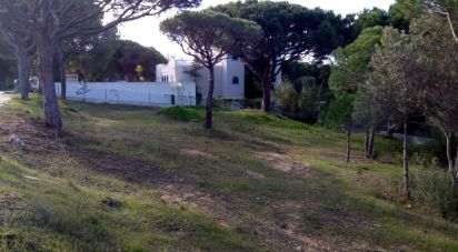 Building land in Almancil of 1,055 m²
