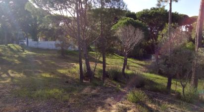 Building land in Almancil of 1,055 m²