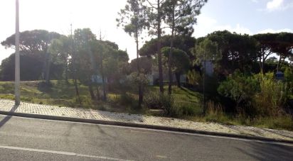 Terrain à bâtir à Almancil de 1 055 m²