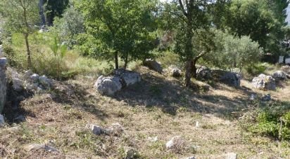 Terrain à bâtir à Mira de Aire de 750 m²