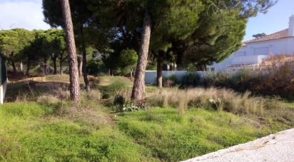 Terrain à bâtir à Almancil de 805 m²