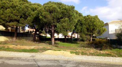 Building land in Almancil of 600 m²