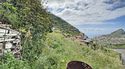 Haras T1 à Câmara de Lobos de 41 m²