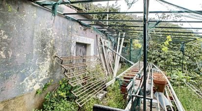 Haras T1 à Câmara de Lobos de 41 m²