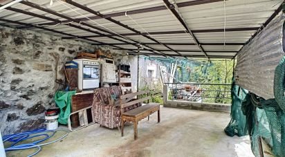 Haras T1 à Câmara de Lobos de 41 m²