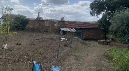 Gîte T2 à Graça de 216 m²