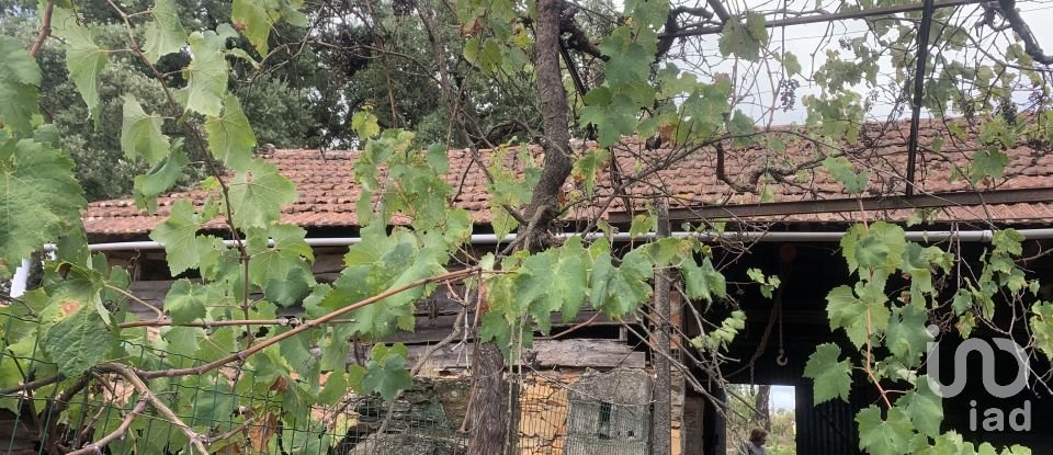 Lodge T2 in Graça of 216 m²