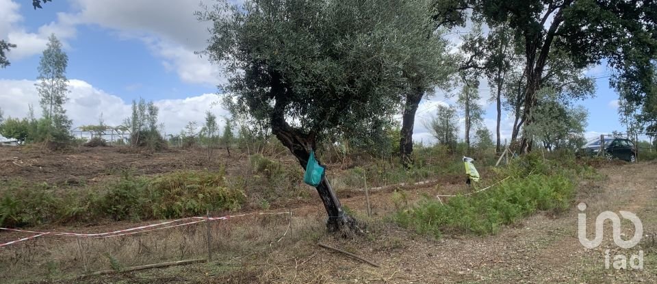 Lodge T2 in Graça of 216 m²