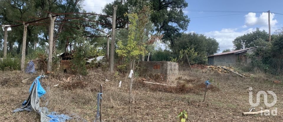 Lodge T2 in Graça of 216 m²