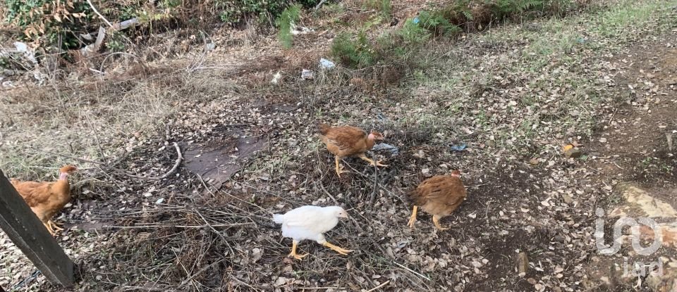 Lodge T2 in Graça of 216 m²