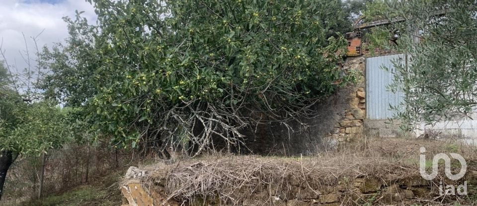 Lodge T2 in Graça of 216 m²