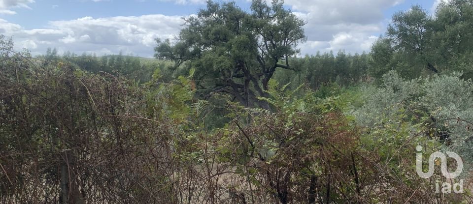 Lodge T2 in Graça of 216 m²