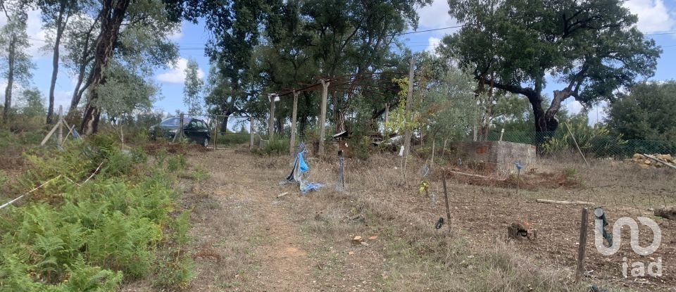 Lodge T2 in Graça of 216 m²