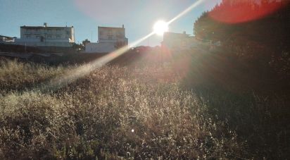 Terrain à Nossa Senhora da Conceição e São Bartolomeu de 567 m²