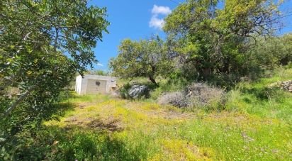 Terrain à Santa Bárbara de Nexe de 3 840 m²