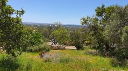 Terrain à Santa Bárbara de Nexe de 3 840 m²