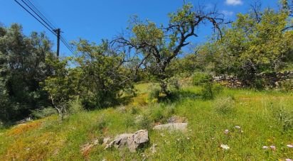 Terrain à Santa Bárbara de Nexe de 3 840 m²