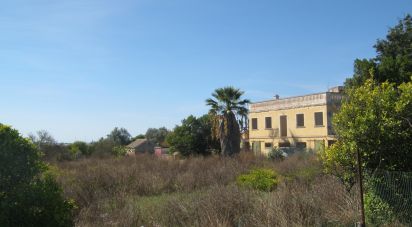 Land in Quelfes of 16,174 m²