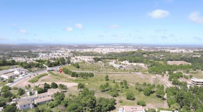 Terrain à Caldas da Rainha - Nossa Senhora do Pópulo, Coto e São Gregório de 3 758 m²
