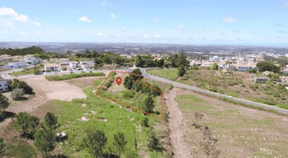 Land in Caldas da Rainha - Nossa Senhora do Pópulo, Coto e São Gregório of 3,758 m²