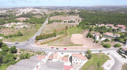 Terrain à Caldas da Rainha - Nossa Senhora do Pópulo, Coto e São Gregório de 3 758 m²
