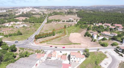 Land in Caldas da Rainha - Nossa Senhora do Pópulo, Coto e São Gregório of 3,758 m²
