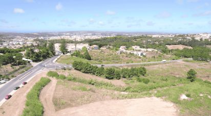 Terrain à Caldas da Rainha - Nossa Senhora do Pópulo, Coto e São Gregório de 3 758 m²