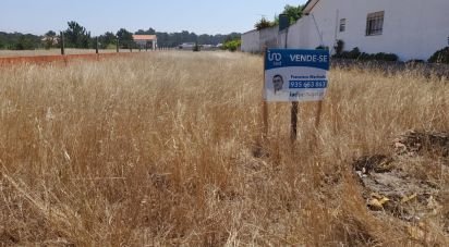 Terrain à bâtir à Gafanha da Encarnação de 1 570 m²
