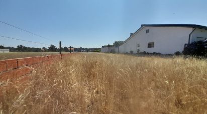 Terrain à bâtir à Gafanha da Encarnação de 1 570 m²