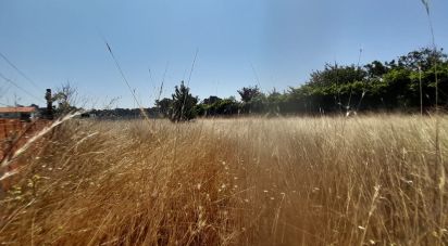 Terrain à bâtir à Gafanha da Encarnação de 1 570 m²