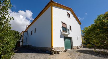 Lodge T4 in Lourinhã e Atalaia of 481 m²