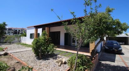 Lodge T3 in Nadadouro of 266 m²