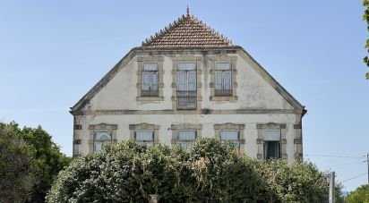 Manoir T9 à Canas de Santa Maria de 530 m²