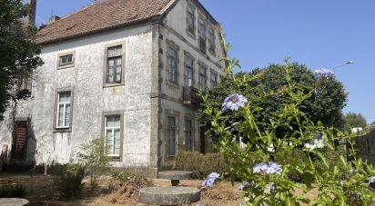 Manoir T9 à Canas de Santa Maria de 530 m²