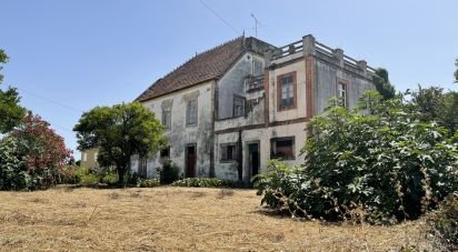 Manoir T9 à Canas de Santa Maria de 530 m²