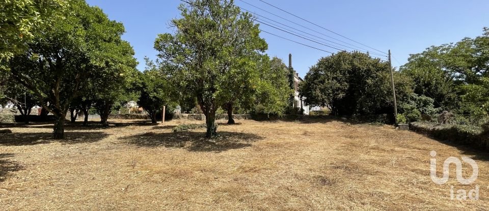 Manor T9 in Canas de Santa Maria of 530 m²