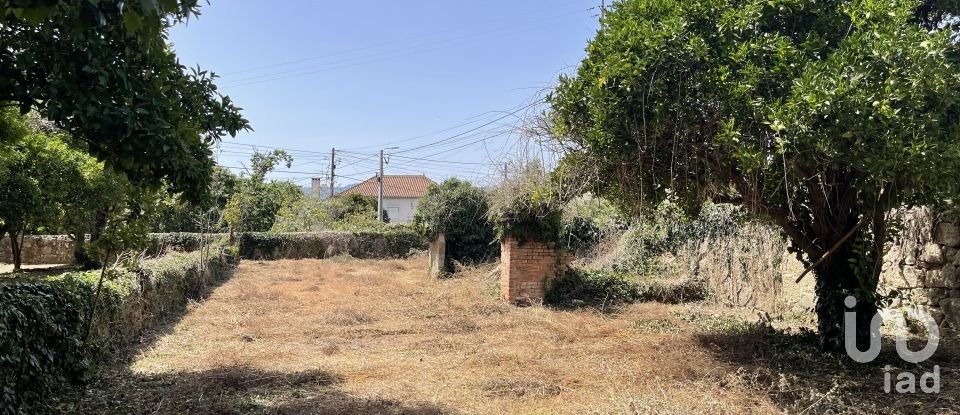 Manor T9 in Canas de Santa Maria of 530 m²