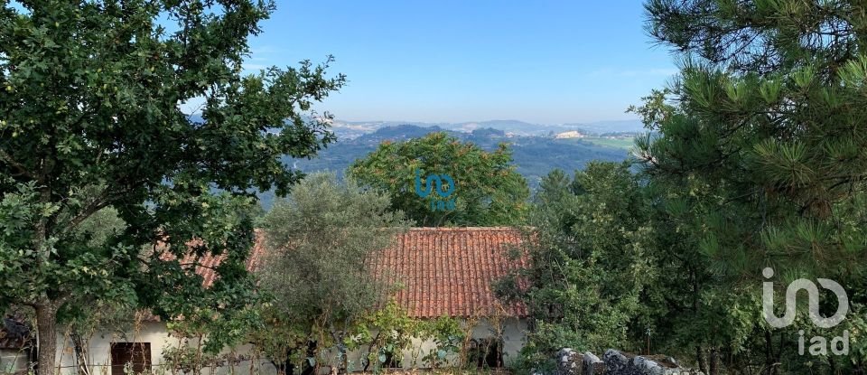 House T3 in Várzea, Aliviada e Folhada of 200 m²